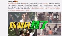 王四粉丝爆料视频最新,最新视频揭秘幕后故事